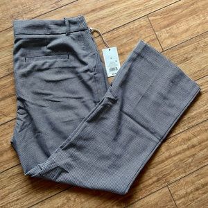 A New Day Dress Pants